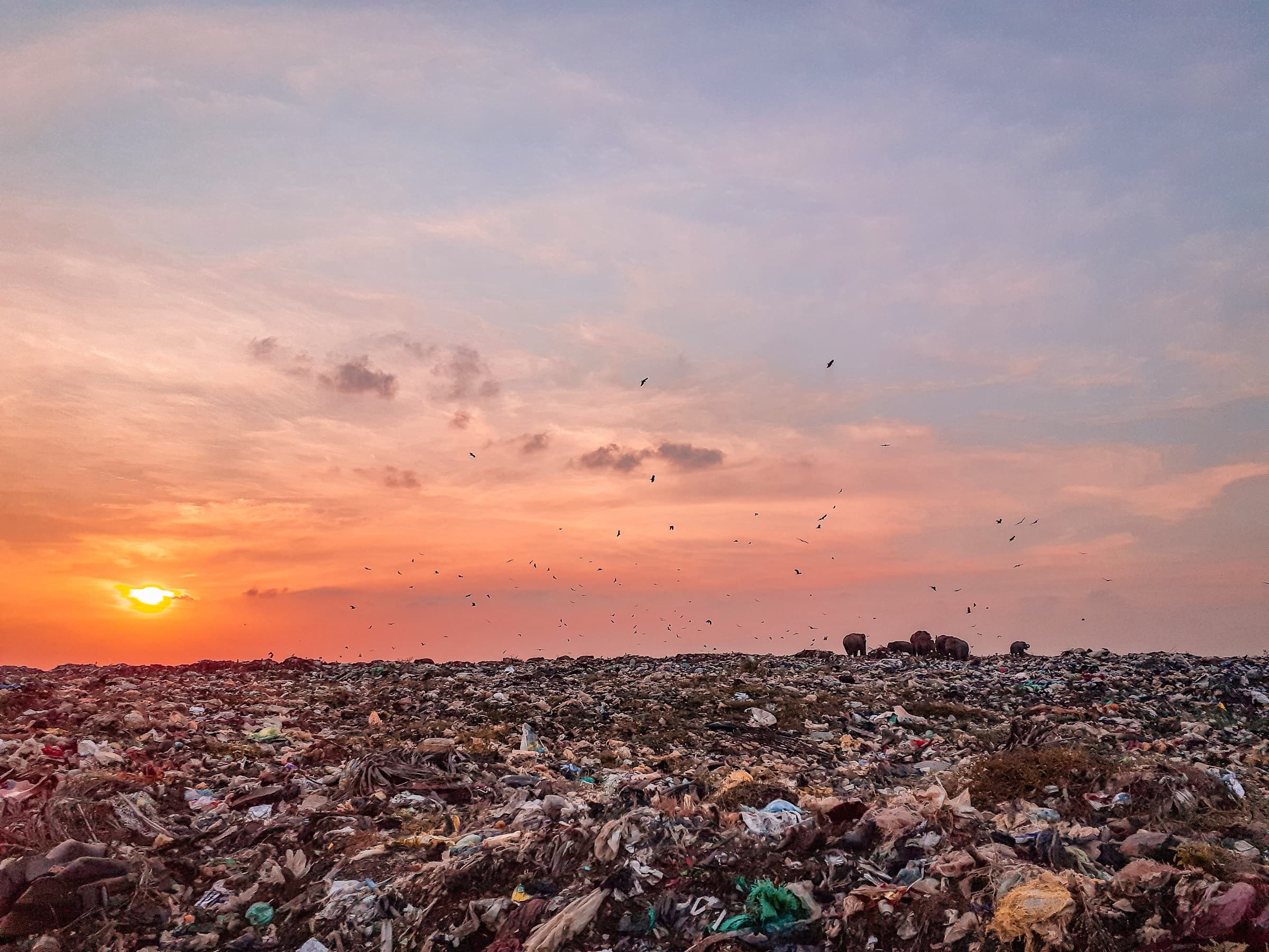 A landfill of discarded clothing stretching to the horizon at sunset, birds circling above it