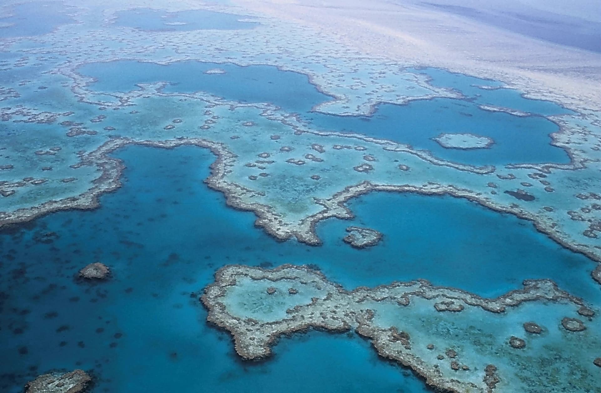 An aerial view of a coral reef in shallow turquoise water