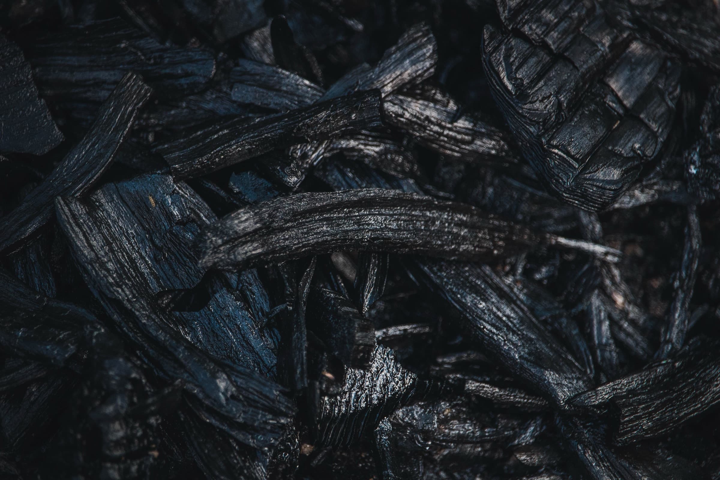 A close-up of charred wood, the activated charcoal used as a filter medium