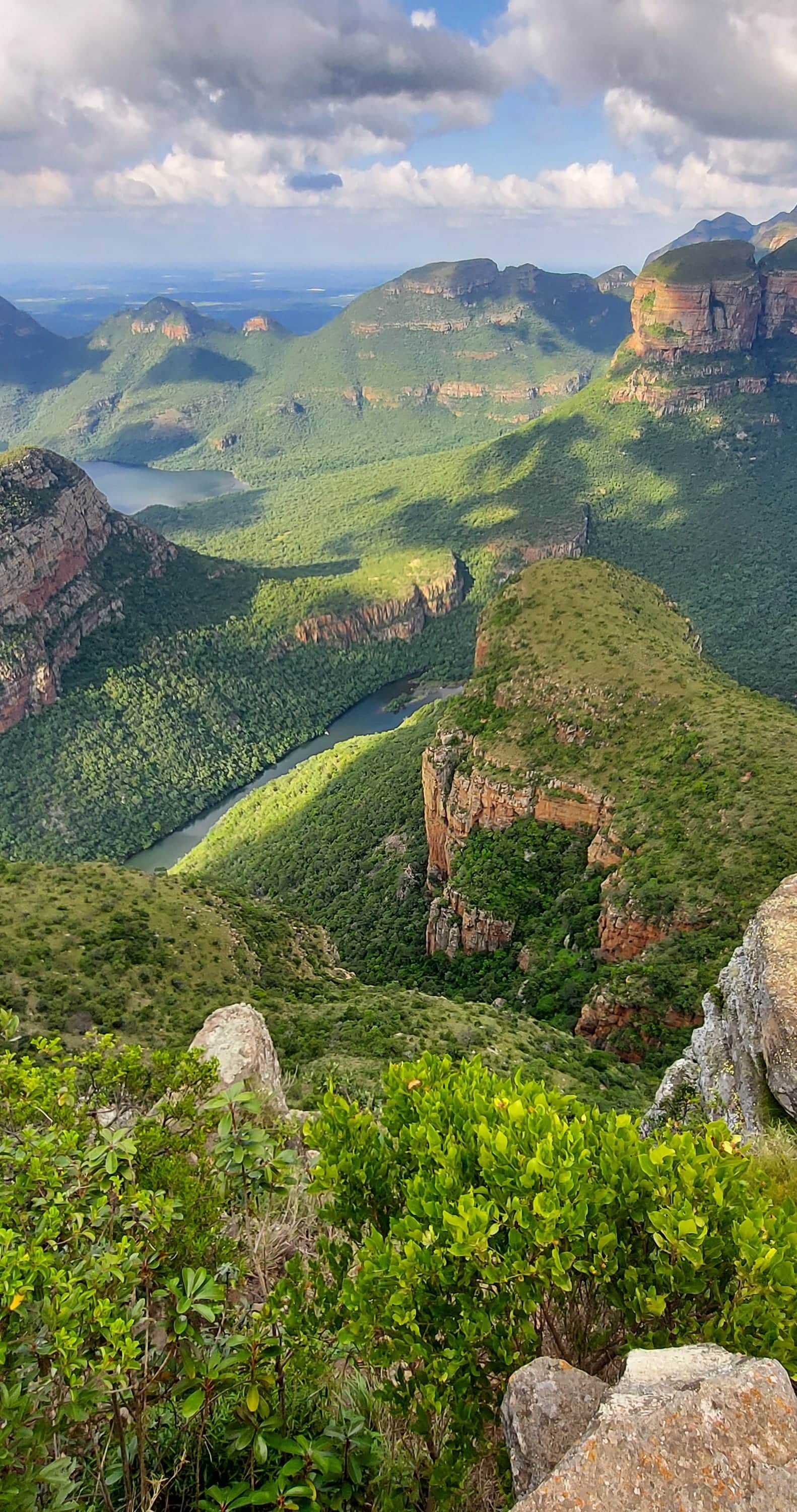 A deep river canyon seen from its rim, a winding river far below and flat-topped rock buttes along the far wall, all under dense green bush