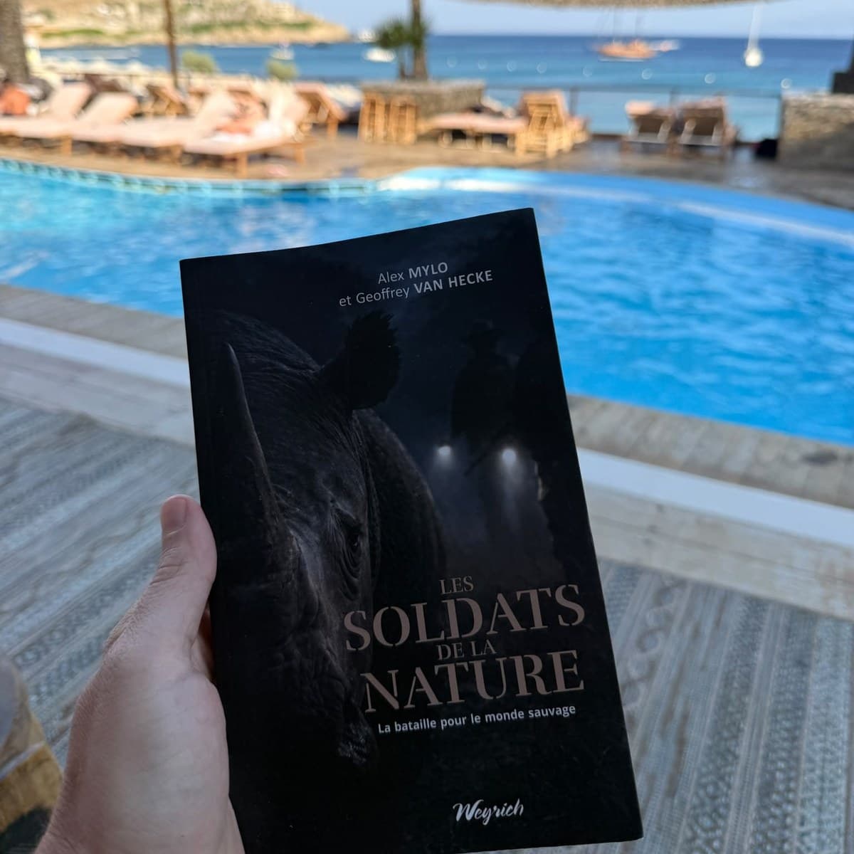 A hand holding Les Soldats de la Nature above a poolside terrace, the sea behind