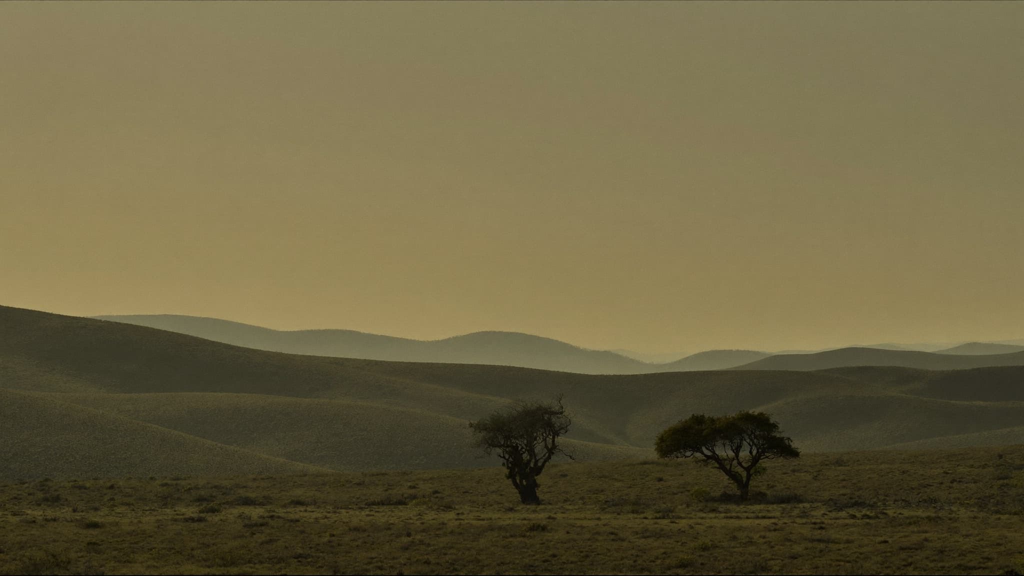 Misty dawn over layered lowveld ridgelines